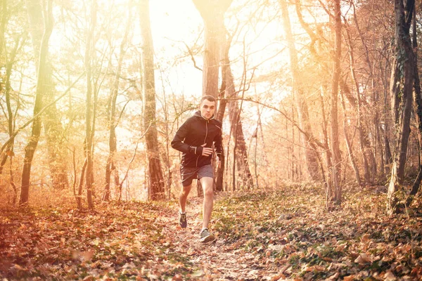 The concept of sports and cross-country running. A man in sports clothes is engaged in intensive running on forest paths. The trunks of the trees in the background. Sunlight. Copy space.