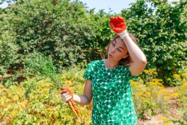 Kafkasyalı genç bir kadın alnındaki teri siliyor ve elinde bir avuç taze havuç tutuyor. Arka planda bitki örtüsü. Hasat ve bahçe işleri kavramı..