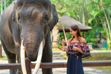 Güzel, bronz tenli bir kız bir file muz şeklinde bir hediye sunar..
