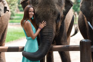 Turkuaz elbise giymiş zarif bir kadın ve yüzünde bir gülümseme büyük bir file dokunuyor. Hayvanat bahçesi.