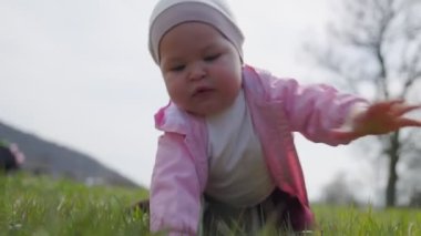Bir bebek çimlerin üzerinde sürünüyor ve elleriyle onu yırtıyor, avucunun içinde inceliyor. Yakın plan portre. Düşük açıdan bak. Parkta eğlence..