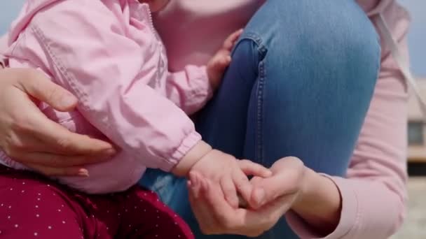 Cute Little Girl Picks Pebble Beach Puts Her Mother Palm — Stock Video