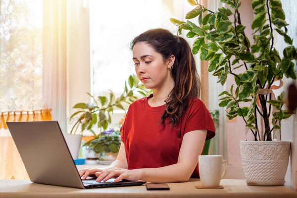 Фрилансер. Молодая, красивая женщина печатает на ноутбуке, сидя за своим столом. Домашний декор, солнце за окном... Концепция карантина, самоизоляции и удаленной работы.