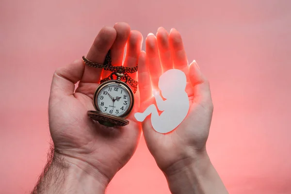 Eltern Handflächen Zusammengepresst Und Halten Papier Embryo Mit Uhr Pastellrosa — Stockfoto