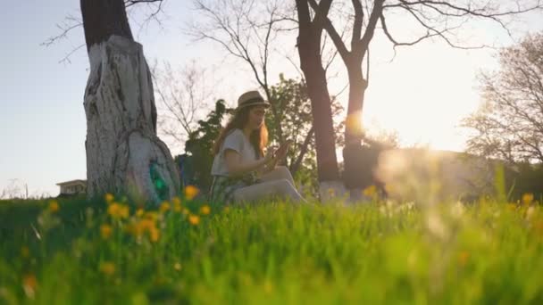 Joyeux Jeune Femme Assise Dans Parc Sur Herbe Tapant Dans — Video