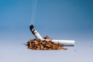 Dünya Tütün Kontrol Günü. Kırık, sigara içen bir sigara mavi arka plandaki bir tütün yığınının içinde yatıyor. Uzayı kopyala Nikotin bağımlılığı ve sigara içmenin zararları..