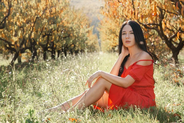 走在花园里 一个穿着红色衣服的黑发女人坐在草地上 面对着黄色的树叶摆姿势 复制空间 — 图库照片