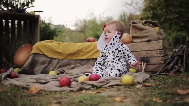 Привет Осень Белый Милый Малыш Сидит Далматинском Костюме Коврике Траве — стоковое видео