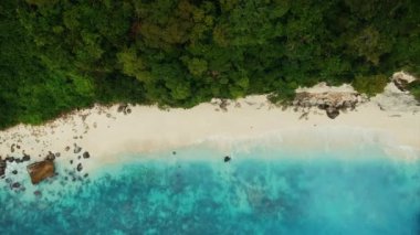 Sahilin ve okyanusun havadan görünüşü. Uzaklaş. Drone görünümü.