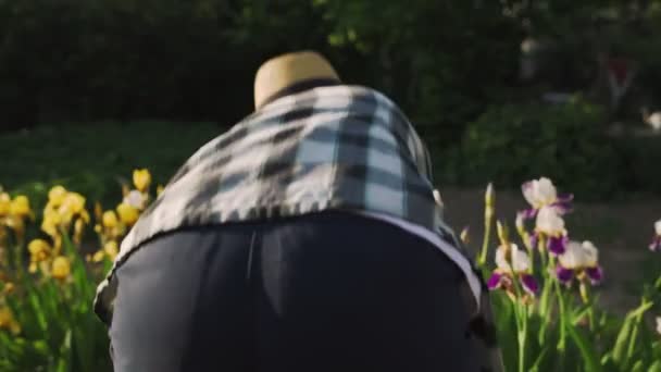一个女人从花坛上站起来 痛苦地抓着她的背 园艺疲劳 靠近点 — 图库视频影像