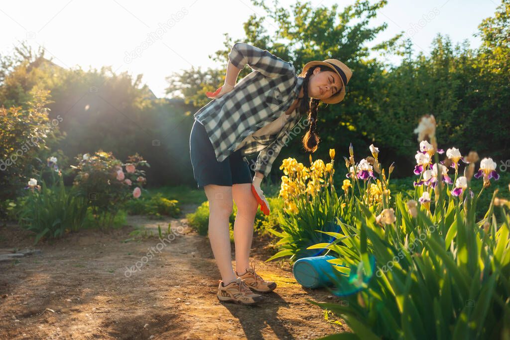 Adult woman in casual clothes stands bend over near a flowering iris bush, holding her back in pain. A watering can is lying on the ground. Concept of back health problems.