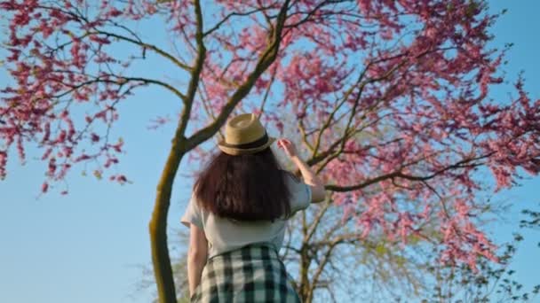 Ung Kvinna Halmhatt Går Till Sakuraträdet Och Tittar Upp Bottenvy — Stockvideo