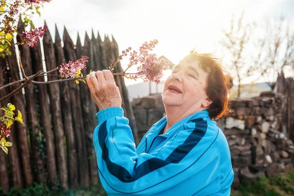 Portrait of a smiling elderly woman sniffing a branch of lilac. Springtime.