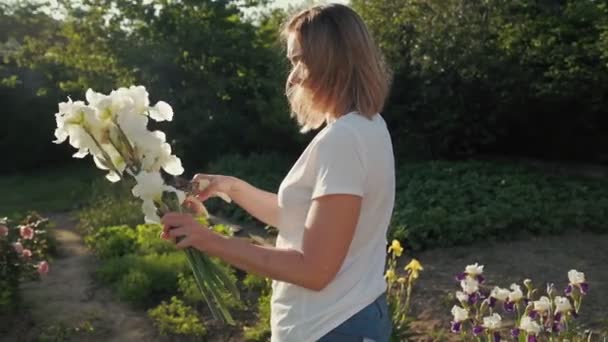 Young Caucasian Woman Cuts Dried Flowers Bouquet White Irises Slow — Vídeo de stock