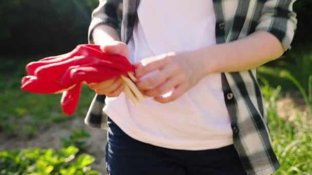 Een Vrouw Doet Haar Handschoenen Uit Close Een Moestuin Achtergrond — Stockvideo
