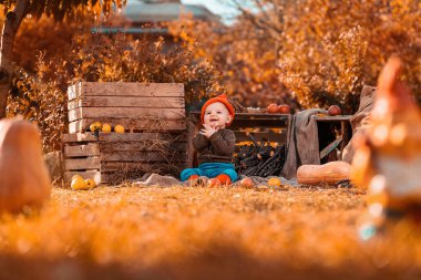 Cadılar Bayramı. Cüce kostümlü mutlu küçük bir çocuk çimenlerin üzerinde oturuyor. Etrafı balkabakları ve tarım dekorlarıyla çevrili. Boşluğu kopyala.