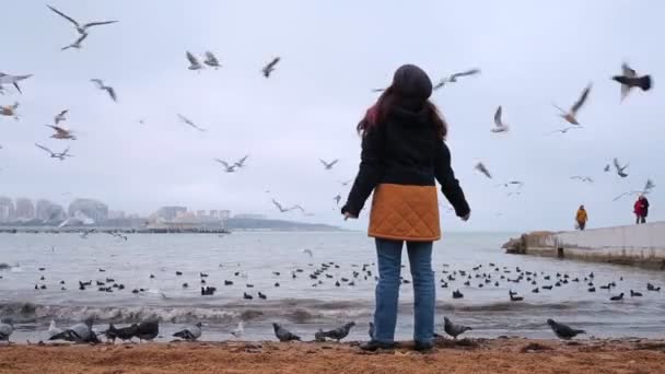 Пляже Песок Женщины Пальто Смотрит Летающих Чаек Небе Вид Сзади — стоковое видео
