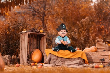 Cadılar Bayramı. Korsan kostümü giymiş neşeli bir çocuk balkabakları ve tarım dekorlarıyla çevrili tahta bir kutunun üzerinde oturuyor. Kapat..