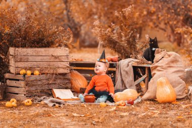Cadılar Bayramı ve sonbahar tatilleri. Cadı kostümü giymiş küçük bir kız. Çimlerin üzerinde oturuyor. Etrafı balkabaklarıyla ve tarımsal dekorla çevrili. Boşluğu kopyala.
