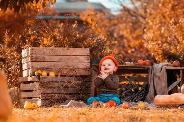 Cadılar Bayramı. Cüce kostümlü neşeli bir çocuk çimenlerin üzerinde oturuyor. Etrafı balkabakları ve tarım dekorlarıyla çevrili..