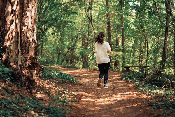 Sommerzeit Sportliche Frau Sportkleidung Joggt Morgendlichen Sommerwald Rückansicht Langlauf — Stockfoto