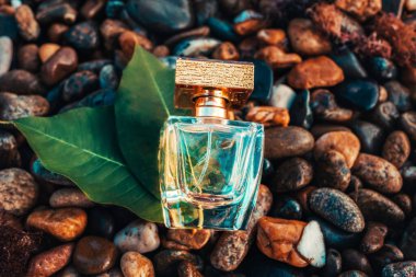 Islak bir çakıl taşlı plajda yeşil yapraklı altın şeffaf bir parfüm şişesi. Yakın çekim, üst görüş. Parfüm reklamcılığı konsepti.