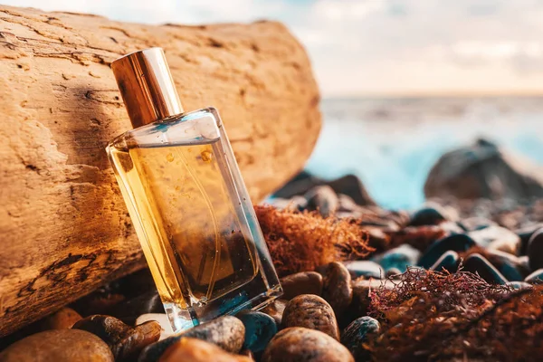 Islak Bir Çakıl Taşı Plajına Damlayan Altın Şeffaf Bir Parfüm — Stok fotoğraf