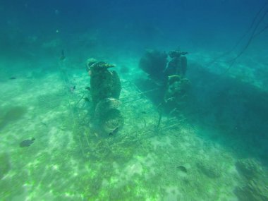 Suya gömülü, paslanmış eski teknik okyanusun dibinde yatıyor. Çevre kirliliği kavramı..