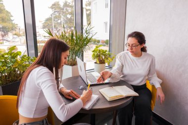 Resmi giyinmiş iki şık genç kadın bir kafede verimli bir toplantı yapıyorlar. Dijital iş geliştirme ve takım çalışması kavramı. Orta çekim.