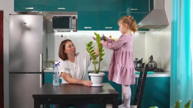 Anne ve kızı kapalı alanda bitki bakımının keyfini çıkarıyorlar, büyümeyi gözlemliyorlar, kaliteli aile zamanları ve ekolojik yaşam. Geniş açı.