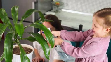 Evde bitki bakımı, saksı bitkisini sulayan anne-kız ilişkisi, kapalı alanda bahçe işleri ve dikkatli ebeveynlik kavramı. Kapat..