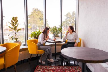 Barışçıl bir kafede fikirleri değerlendiren iki zarif beyaz kadın arasındaki odaklanmış konuşma. Stratejik enerji. Dijital pazarlama ve sinerji projesi kavramı. Geniş açı.