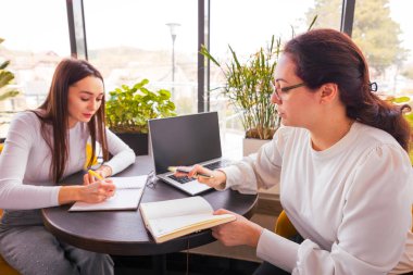 Kafkasyalı iş kadınları modern bir kahve dükkanında dijital proje detaylarını aktif olarak tartışıyor. Takım çalışması ve pazarlama stratejisi kavramı