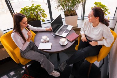 Kendine güvenen genç kadınlar iş yemeğinde pazarlama stratejisini tartışıyorlar. Çevrimiçi başarı ve takım çalışması kavramı. Üst görünüm.