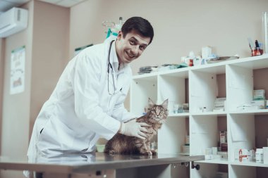 Bir adam bir kediyi incelerken kameraya bakar.. 