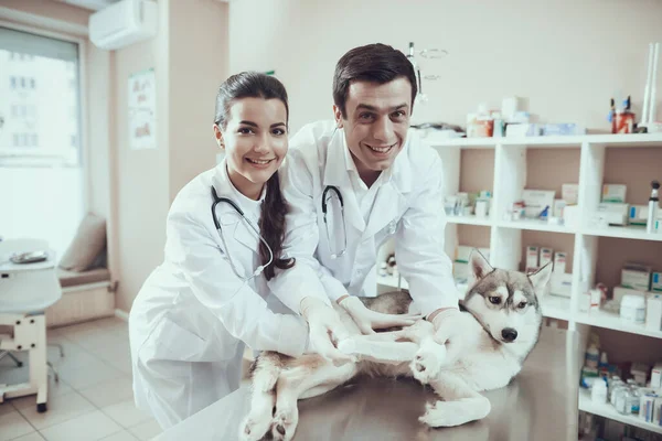 Twee dierenartsen in witte jassen kijken naar camera. — Stockfoto