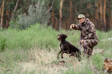 Hunter, Pointer Dog 'a Komuta Veriyor..