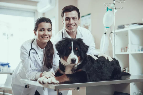 Hond op operatietafel in dierenkliniek. — Stockfoto