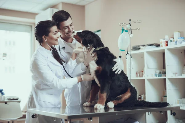 Um homem a olhar para um cão doente na clínica. — Fotografia de Stock