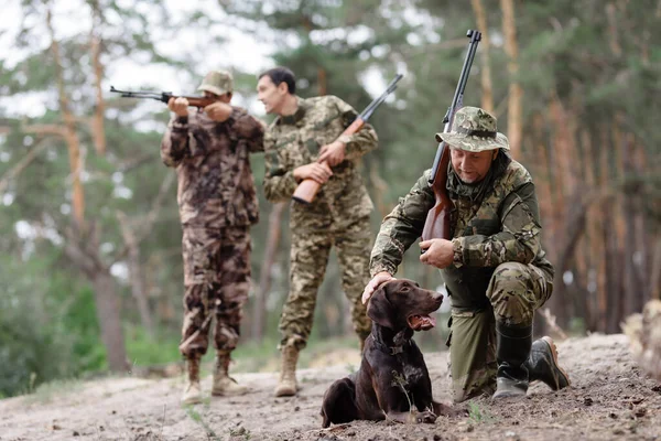 Hunter Pets Brown Pointer Gun Dog in Forest.