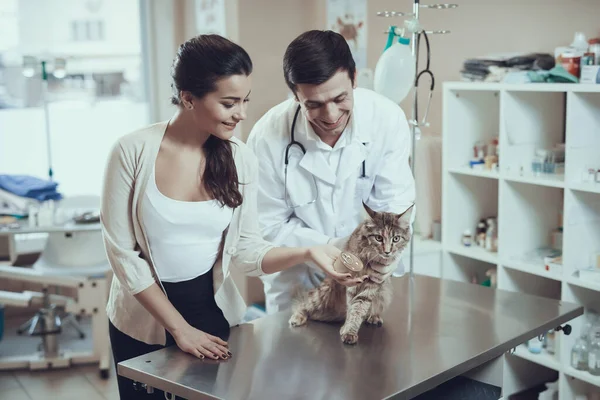 Veterinário masculino examina gato que se senta na mesa. — Fotografia de Stock