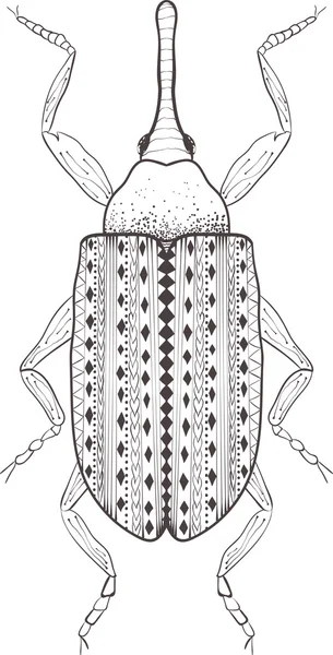 Zentangle Τυποποιημένο Γελοιογραφία Σκαθάρι Έντομο Απομονώνονται Λευκό Φόντο Σκίτσο Ενηλίκων — Διανυσματικό Αρχείο