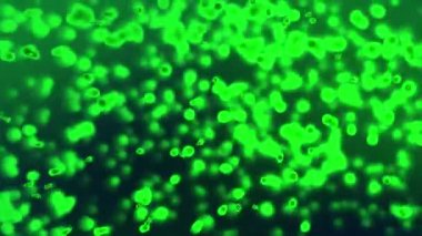 Yeşil viral hücreler uzayda hareket eder ve çoğalır. soyut canlandırma