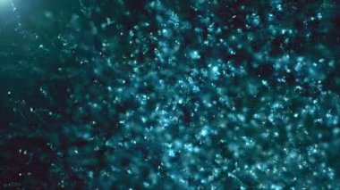 Soyut mavi ateş böcekleri hareket eder ve arkalarında iz bırakır. animasyon arkaplanı