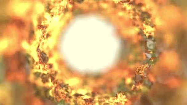 金色の輝くトンネルの中でカメラのスパン 抽象的なアニメーションの背景 — ストック動画