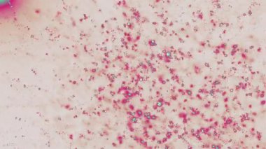 Mavili pembe parçacıkların 2D animasyonu. Soyut hücrelerin hareketi.