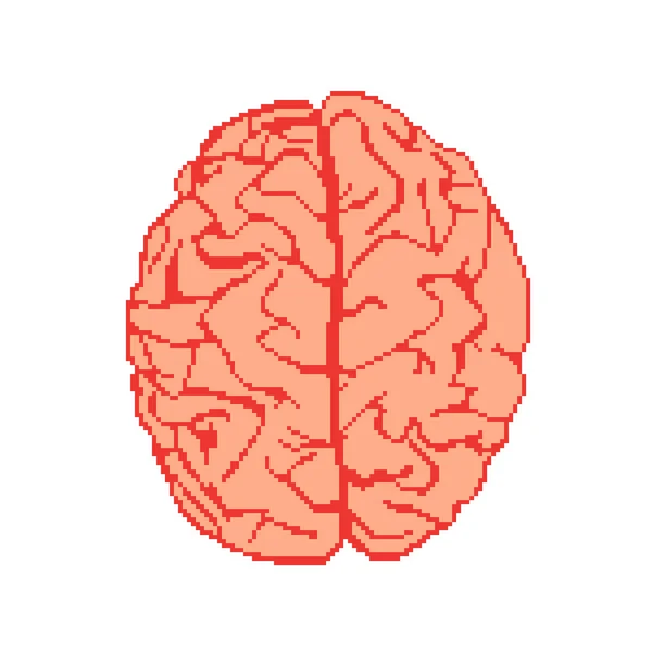 Hjärnan pixel konst — Stock vektor