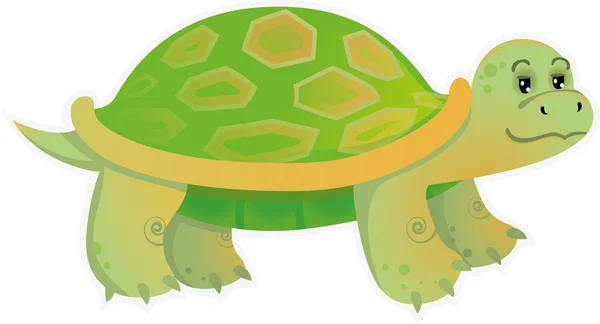 Little turtle — Stock Vector