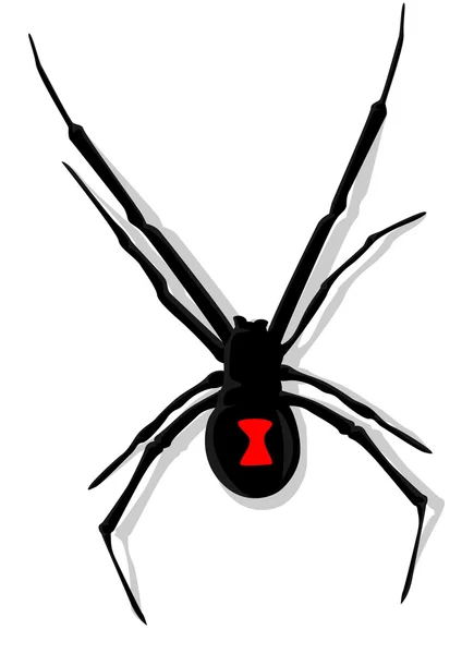 Black Widow Spider — Stock Vector