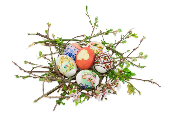 Несколько различных пасхальных яиц на ветвях с листьями и цветами — стоковое фото